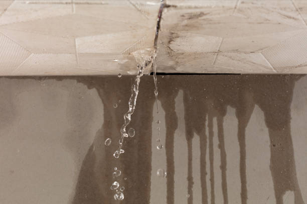 Professional Flood Damage Cleanup technician working in Blooming Grove, TX